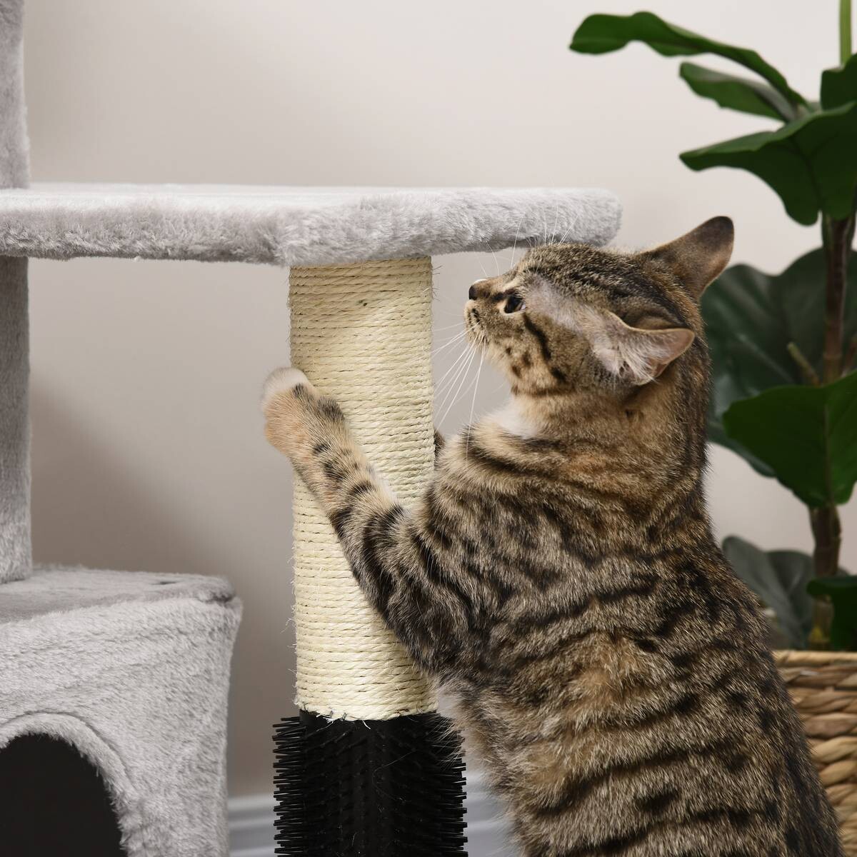 PawHut Kratzbaum