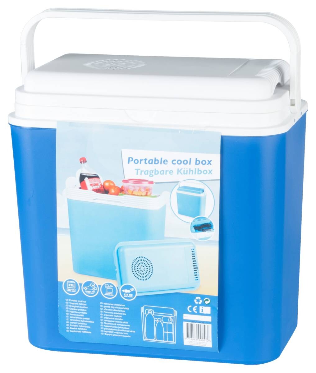 Kühlbox 871848900054 blau Kunststoff B/H/L: ca. 23x40x30 cm