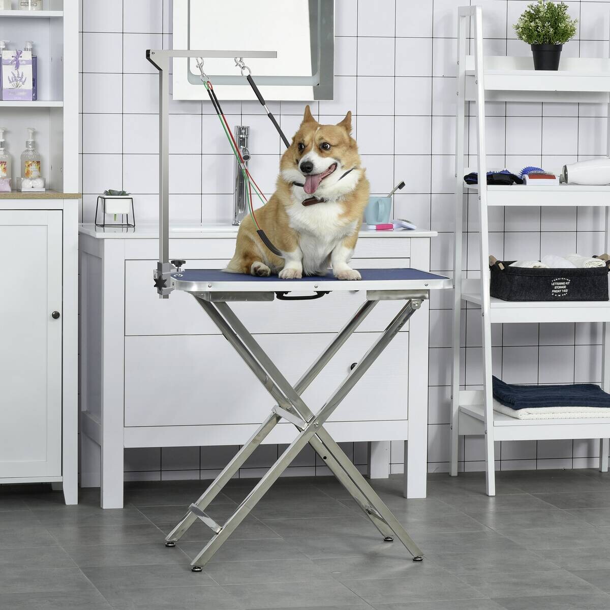 PawHut Haustier Fellpflege m. Klemme silber Aluminium B/H/L: ca. 8x36x74 cm