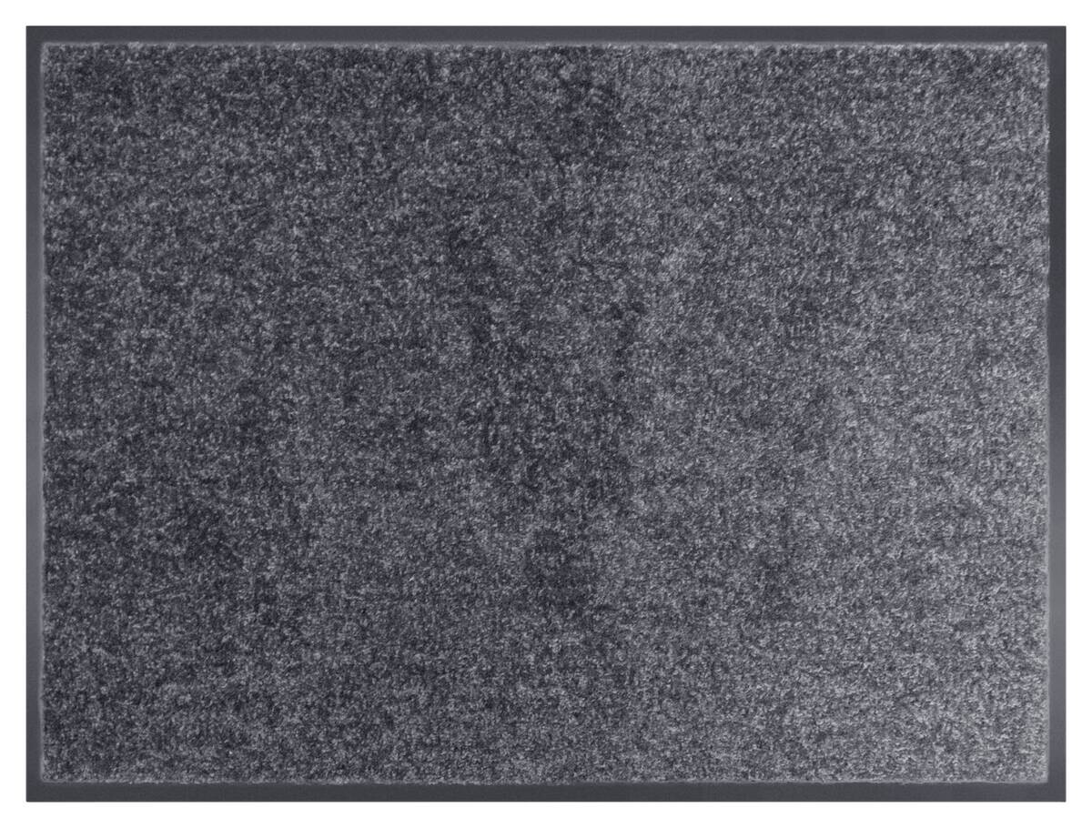 Schmutzfangmatte Alpha anthrazit B/L: ca. 40x60 cm