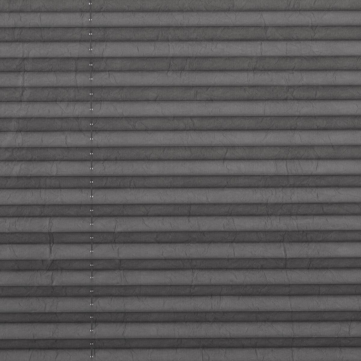 LICHTBLICK Spannplissee hellgrau B/L: ca. 110x130 cm