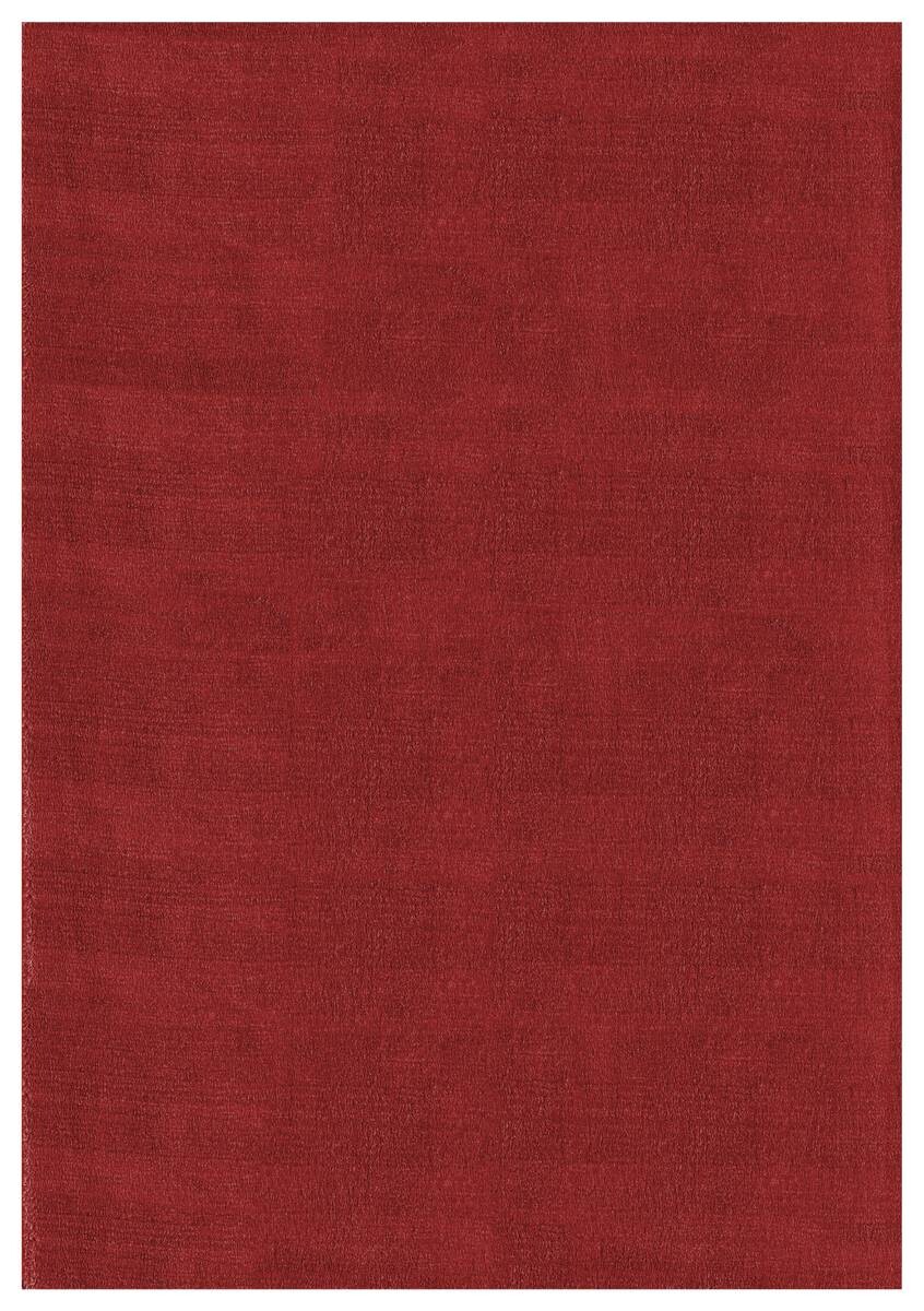 Ayyildiz Teppich SKY rot B/L: ca. 160x230 cm