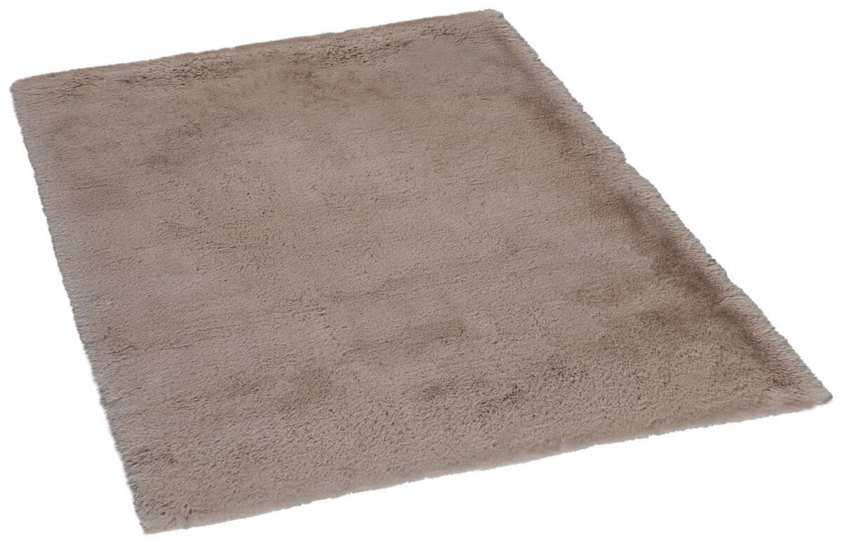 Teppich Moyo-Premium taupe B/L: ca. 80x150 cm