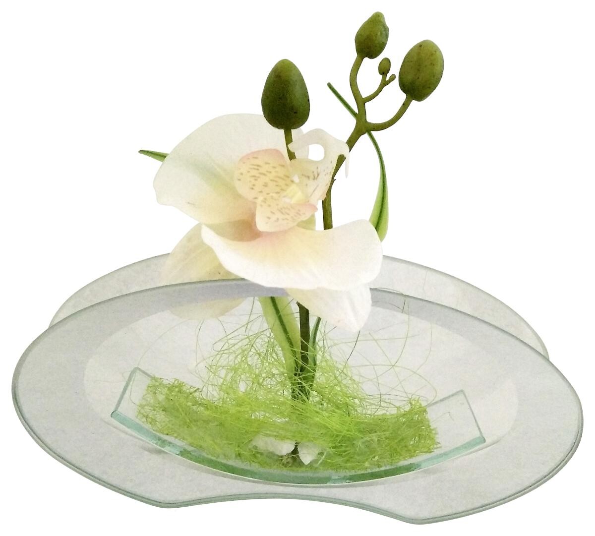 POCOline Vase klar Glas B/H/L: ca. 4,5x9,5x20 cm
