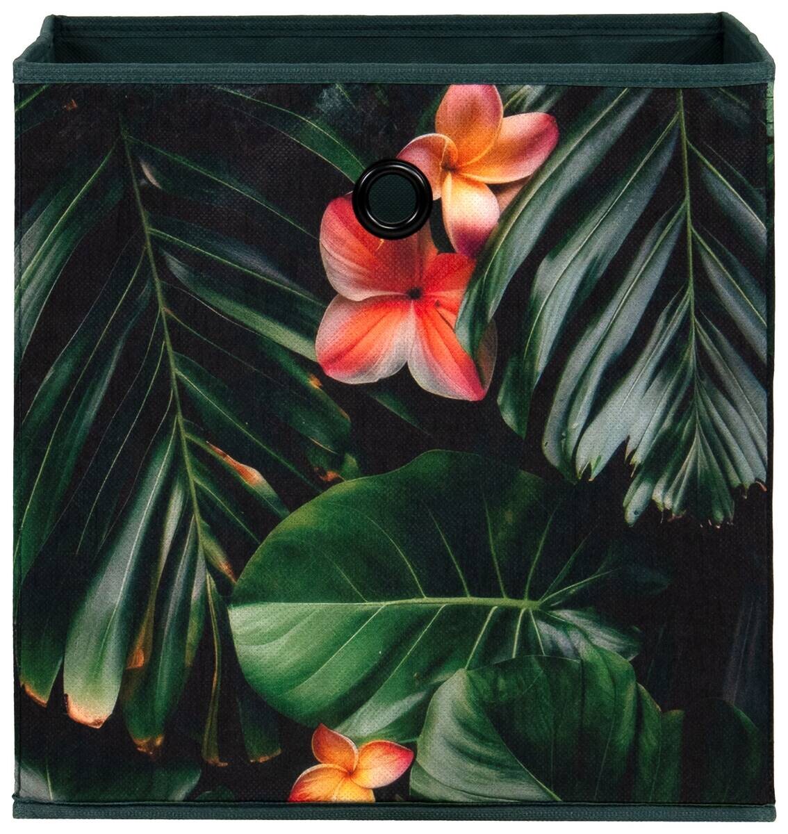 Motivbox Motivbox 1 B/H/T: ca. 32x32x32 cm