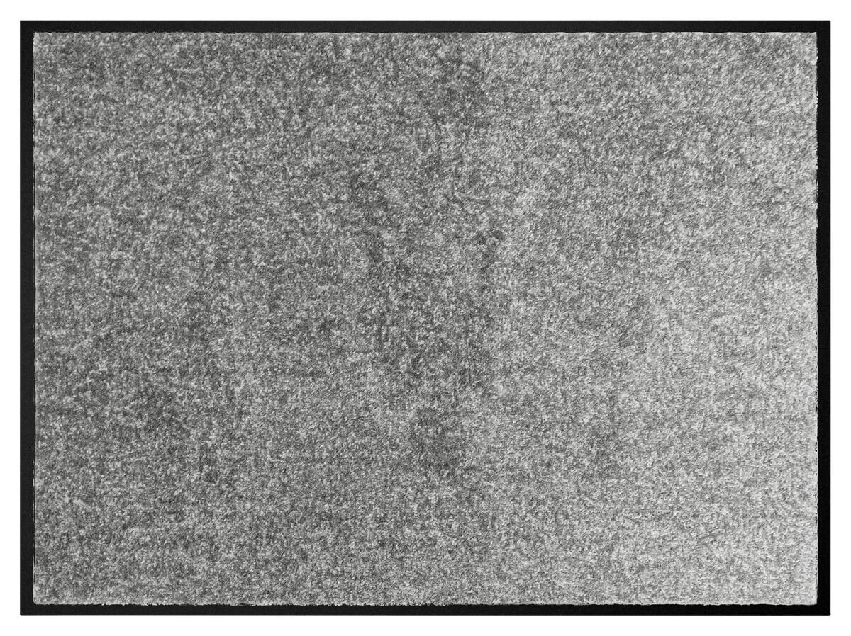 Schmutzfangmatte Alpha grau B/L: ca. 60x80 cm