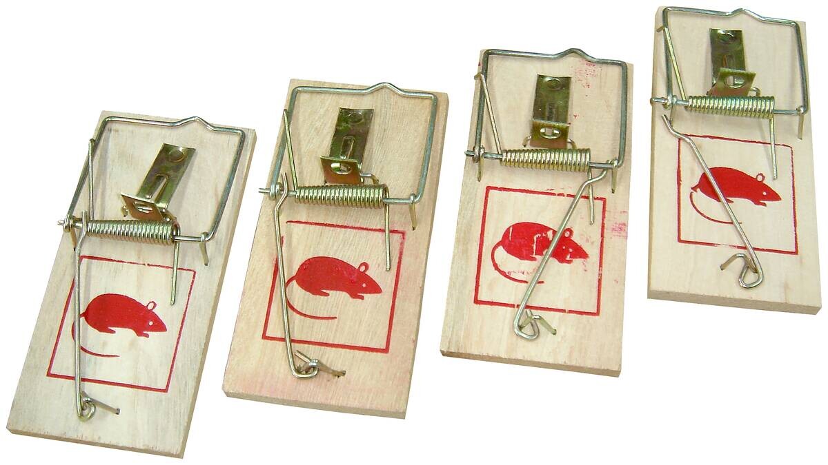CON:P Mausefalle 4 tlg.