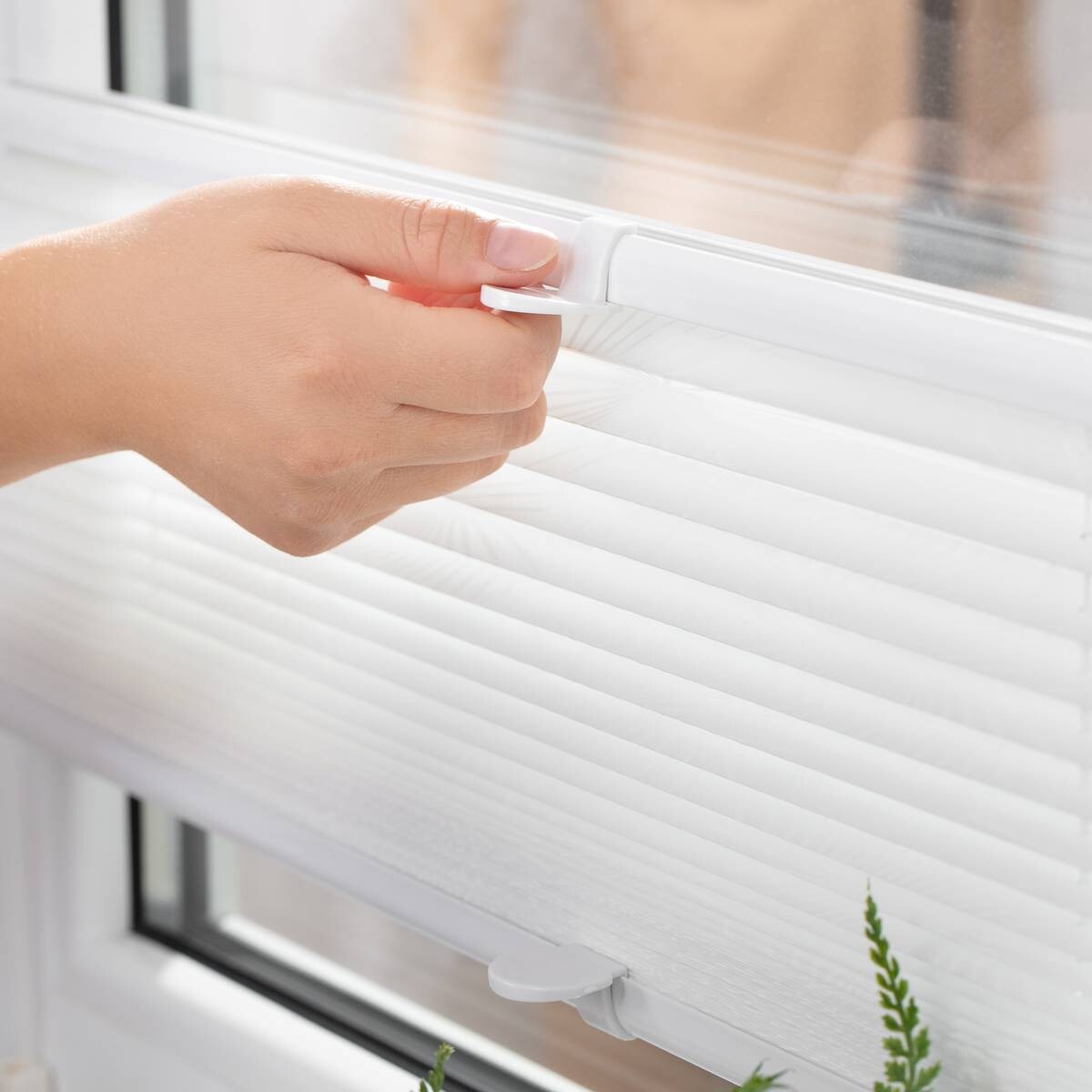 LICHTBLICK Spannplissee Pflanze weiß B/L: ca. 70x130 cm