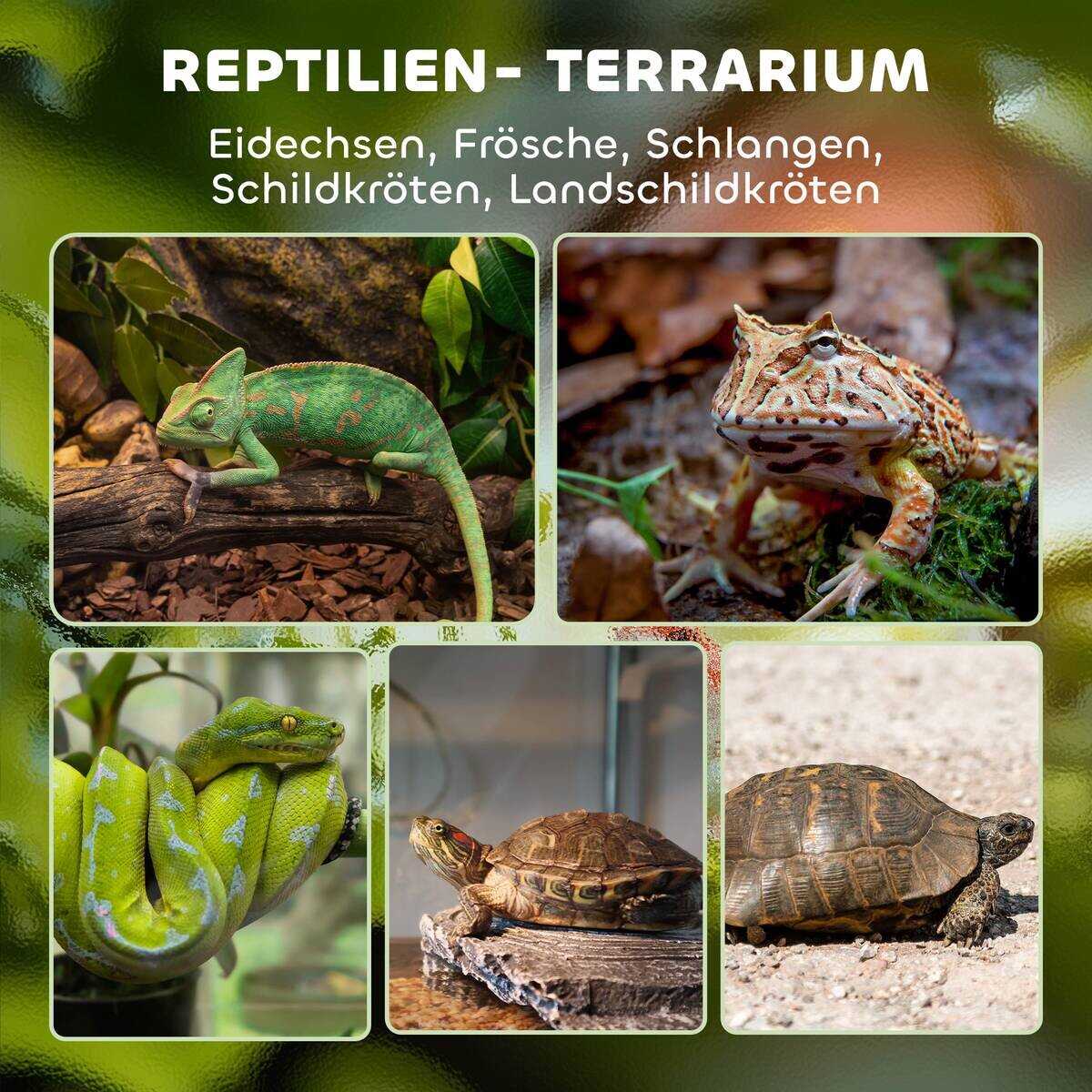 PawHut Terrarium schwarz Stahl B/H/L: ca. 30x35x50 cm