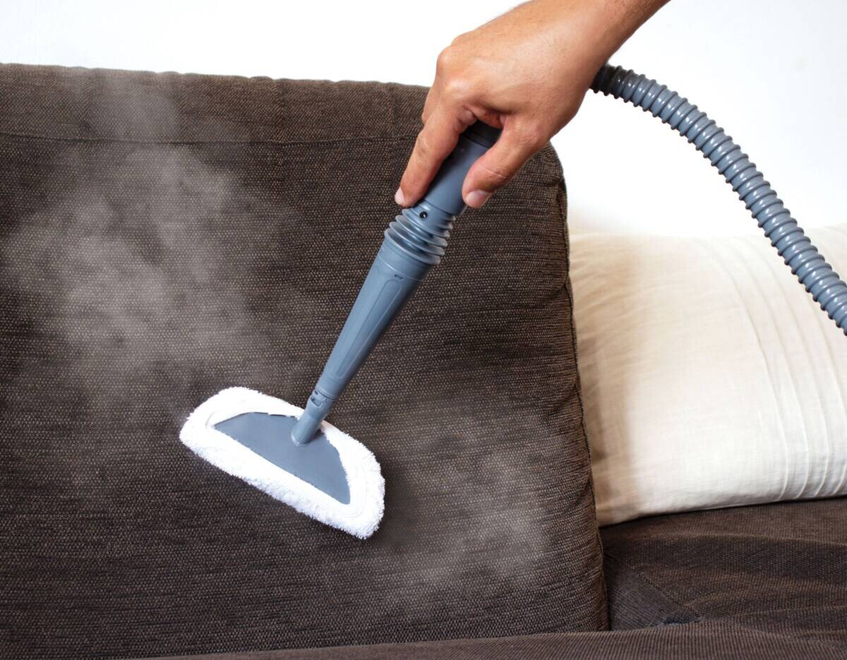 Polti Polti Dampfbesen und Dampfreiniger SV440 weiß lila Kunststoff Stahl B/H/T: ca. 20x32x112 cm