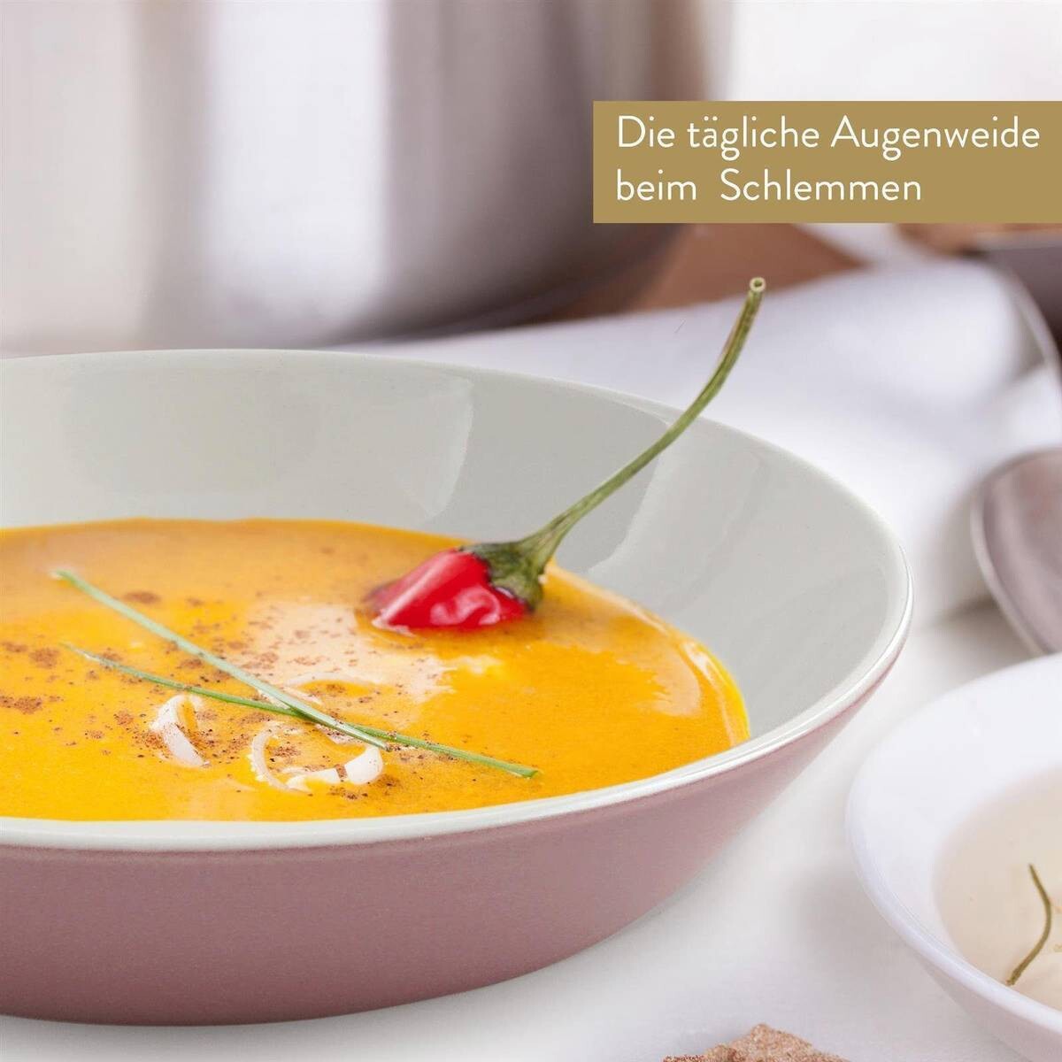 Mövenpick Kombiservice Montreux rosa Porzellan 16 tlg.