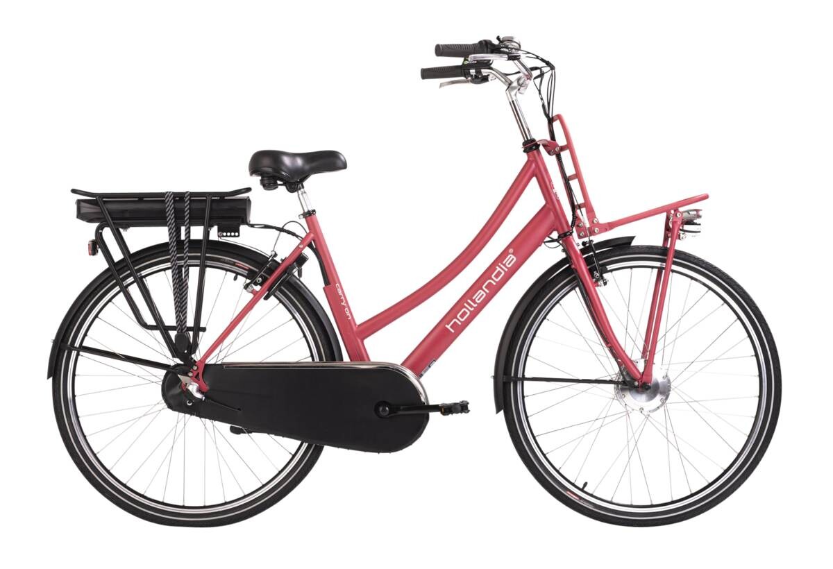 Hollandia E-Cityrad Carry on Carry on 28'' 28 Zoll Rahmenhöhe 54 cm 3 Gänge rot rot ca. 250 W ca. 36 V ca. 28 Zoll