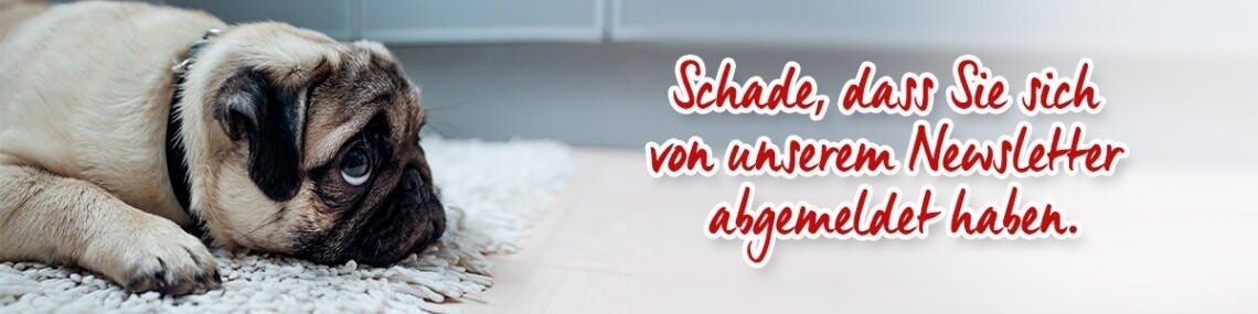 Schade, dass Sie sich von unserem Newsletter abgemeldet haben.