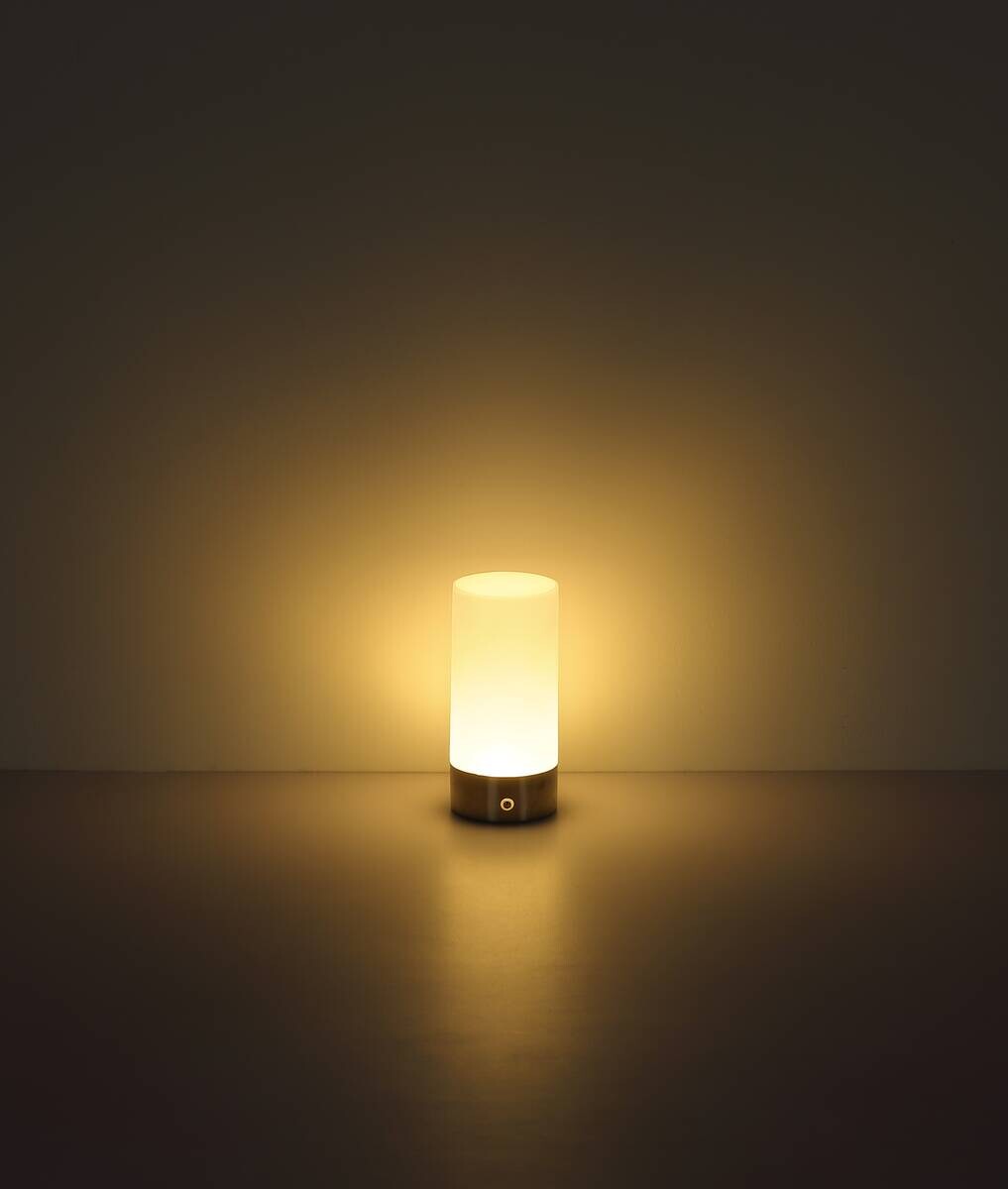 GLOBO LED-Ticshleuchte Lex nickel matt Metall H/D: ca. 19x8,8 cm