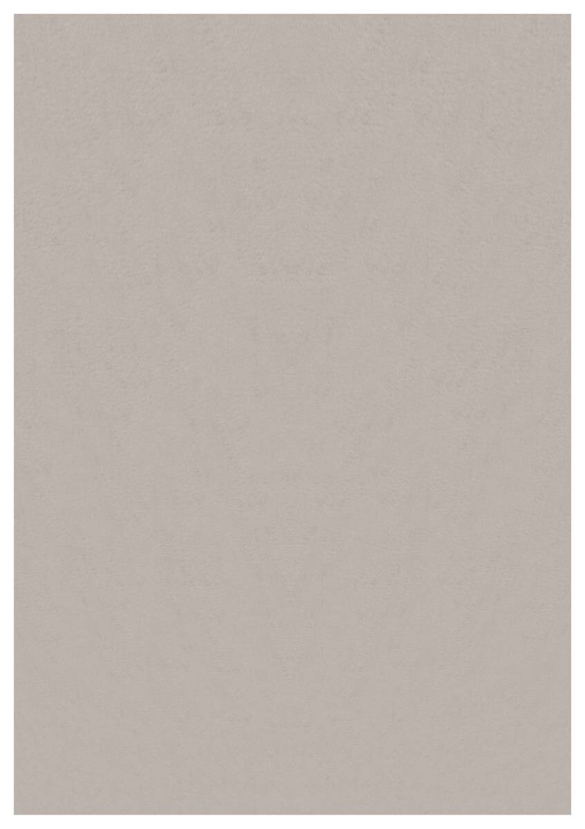 Ayyildiz Teppich SKY beige B/L: ca. 240x340 cm