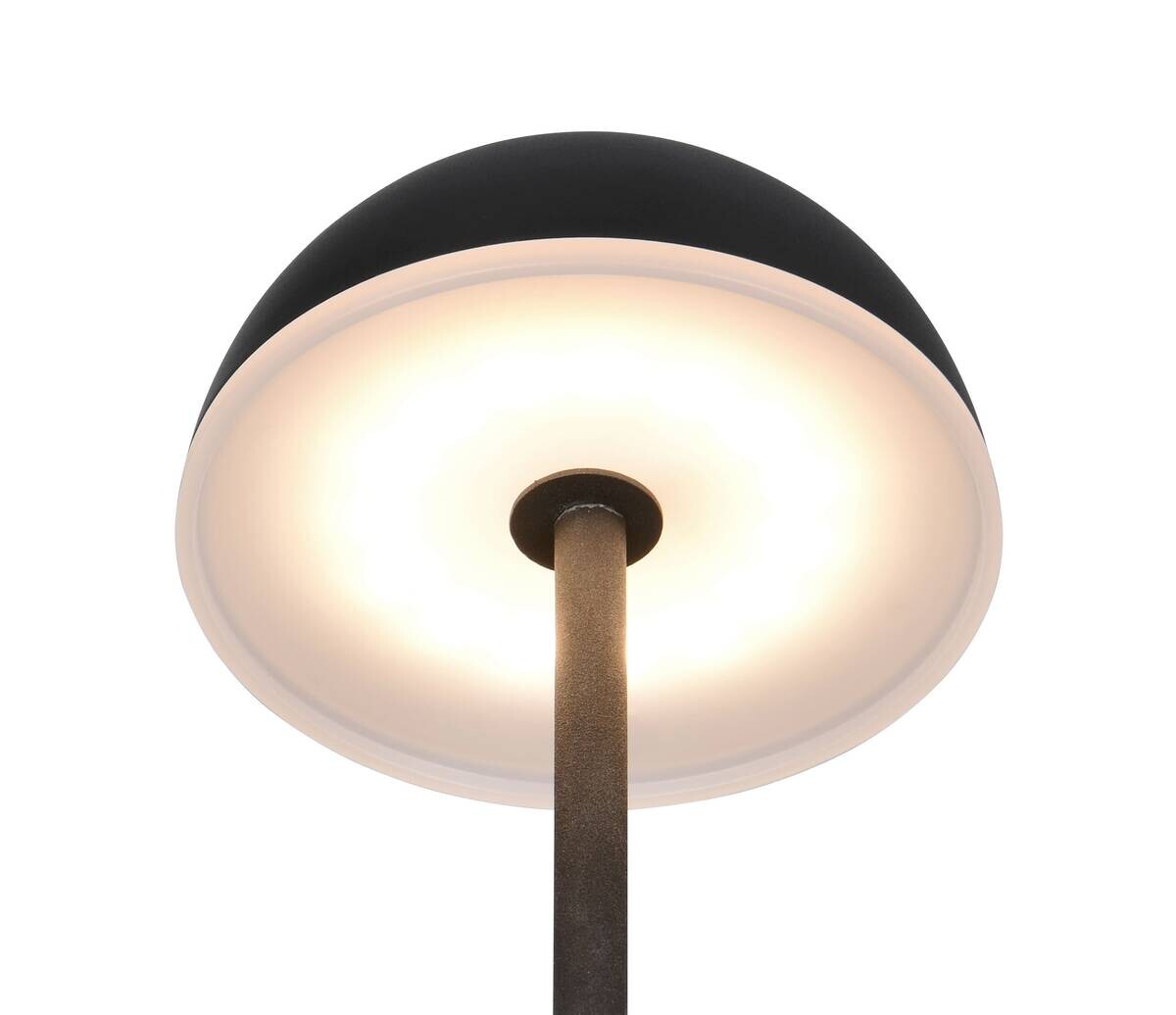 Reality LED-Tischleuchte Tembo schwarz Kunststoff B/L: ca. 11x28,3 cm