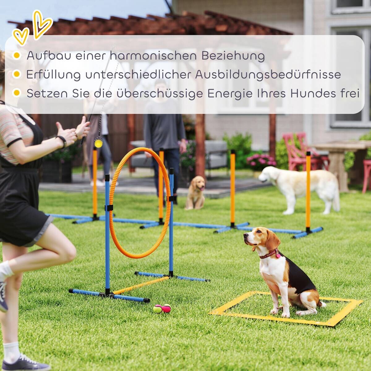 PawHut Hund Agility Set blau Kunststoff B/H/L: ca. 69x69x348 cm