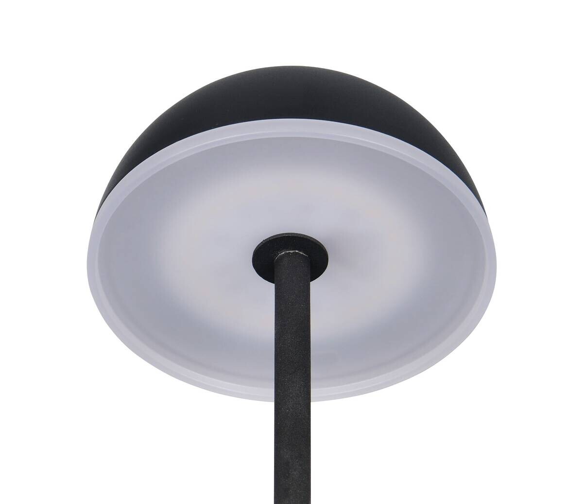 Reality LED-Tischleuchte Tembo schwarz Kunststoff B/L: ca. 11x28,3 cm