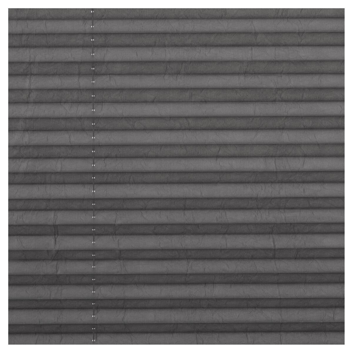 LICHTBLICK Spannplissee hellgrau B/L: ca. 60x210 cm