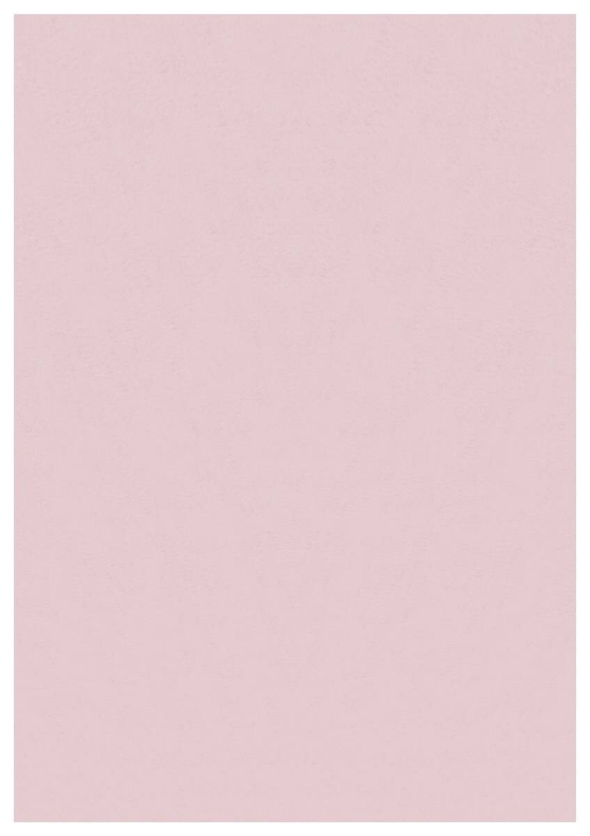 Ayyildiz Teppich SKY rosa B/L: ca. 80x150 cm