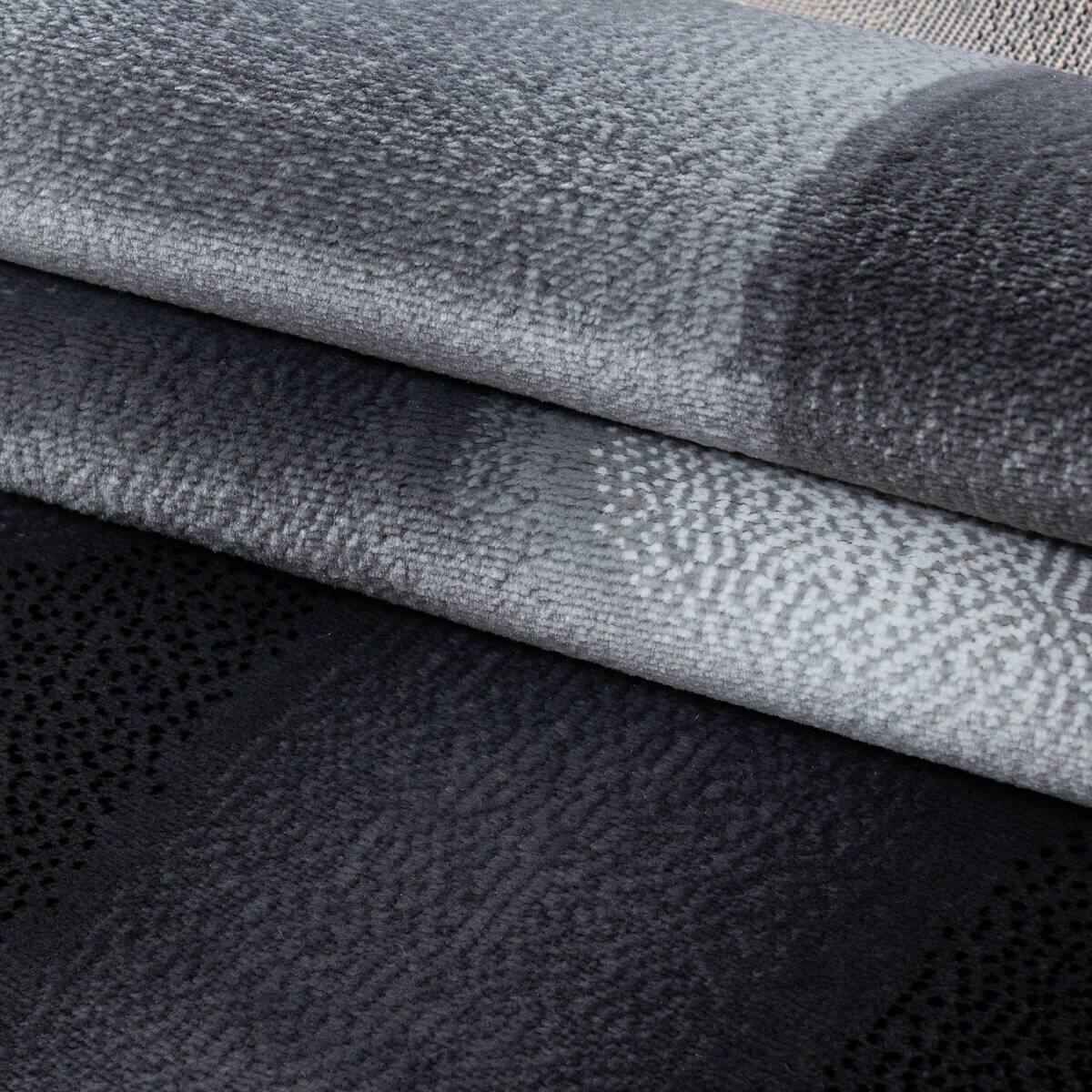 Ayyildiz Teppich PLUS schwarz B/L: ca. 240x340 cm