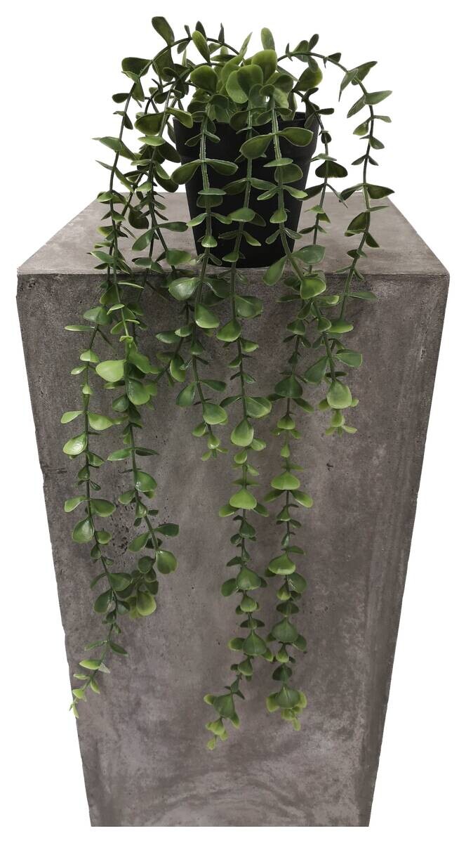 Kunstpflanze grün Kunststoff B/H/L: ca. 10x10x50 cm