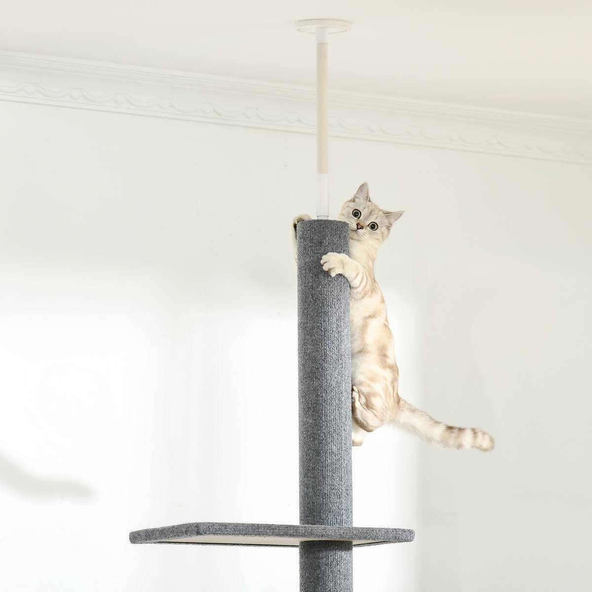 PawHut Kratzbaum grau Polyester B/H/L: ca. 27x228x43 cm