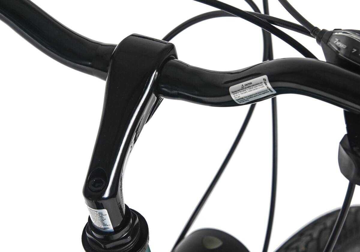 DaCapo Trekking-Bike Ravenna 50 28 Zoll Rahmenhöhe 48 cm 21 Gänge grün grün ca. 28 Zoll