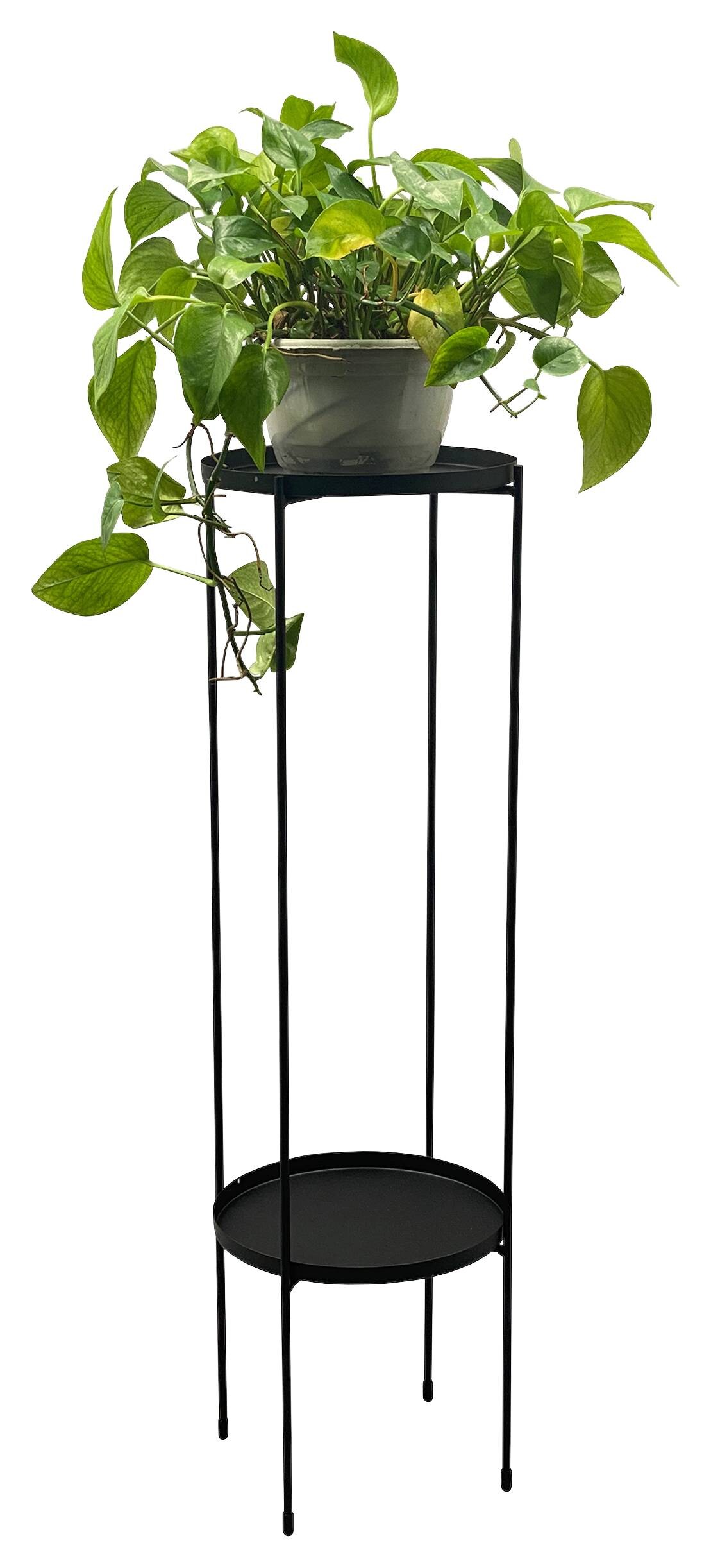Blumensäule Tim schwarz lackiert Metall H/D: ca. 80x24,5 cm
