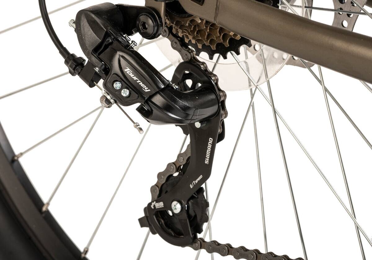 WYLD Mountain-Bike Sharp Sharp 29 Zoll Rahmenhöhe 51 cm 21 Gänge grau grau ca. 29 Zoll