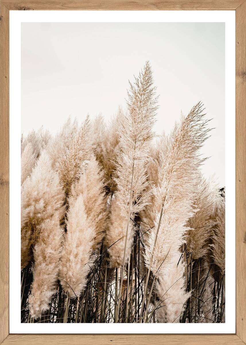 Gerahmtes Bild Natur B/H: ca. 70x50 cm