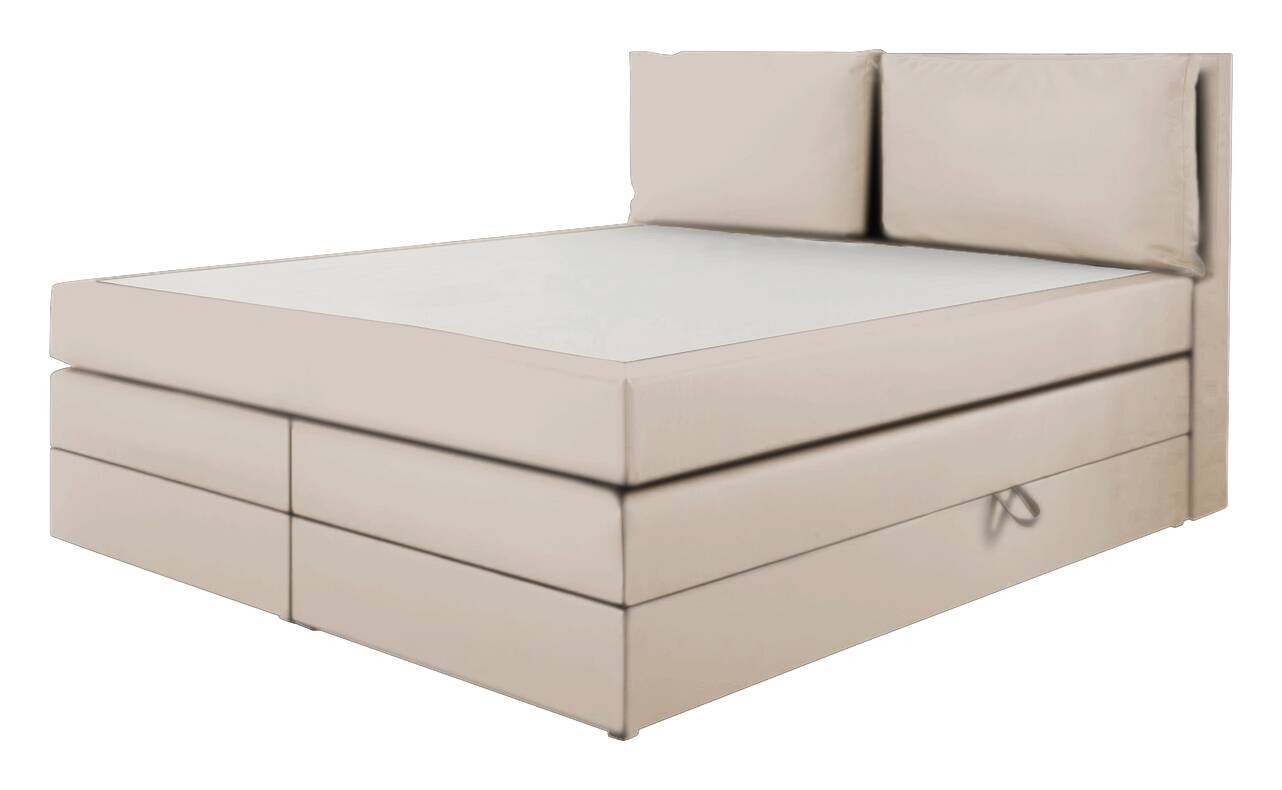 Boxspringbett Lissy creme Liegefläche B/L: ca. 160x200 cm