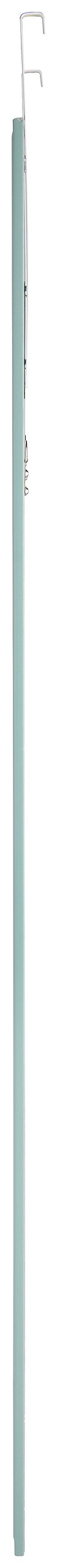 Türhängespiegel Bea salbei B/H/T: ca. 30x120x2 cm