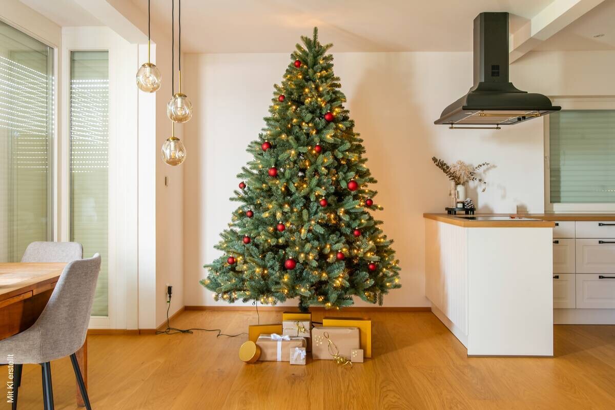 Evergreen Weihnachtsbaum Vermont Fichte