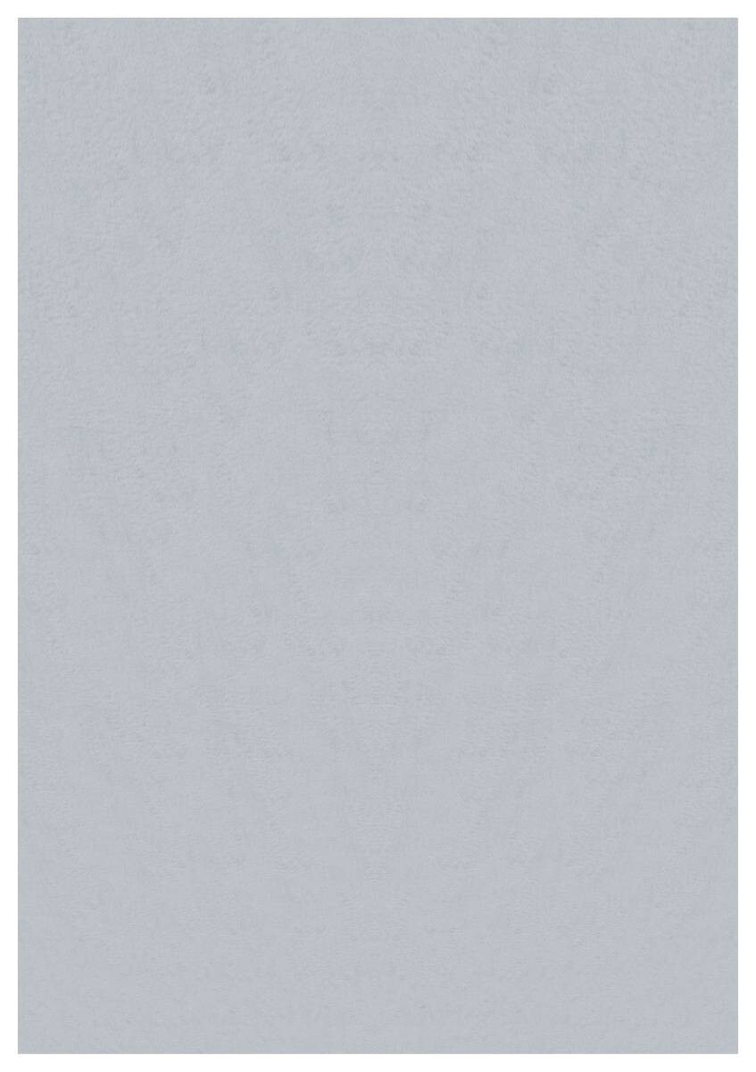 Ayyildiz Teppich SKY silber B/L: ca. 60x110 cm