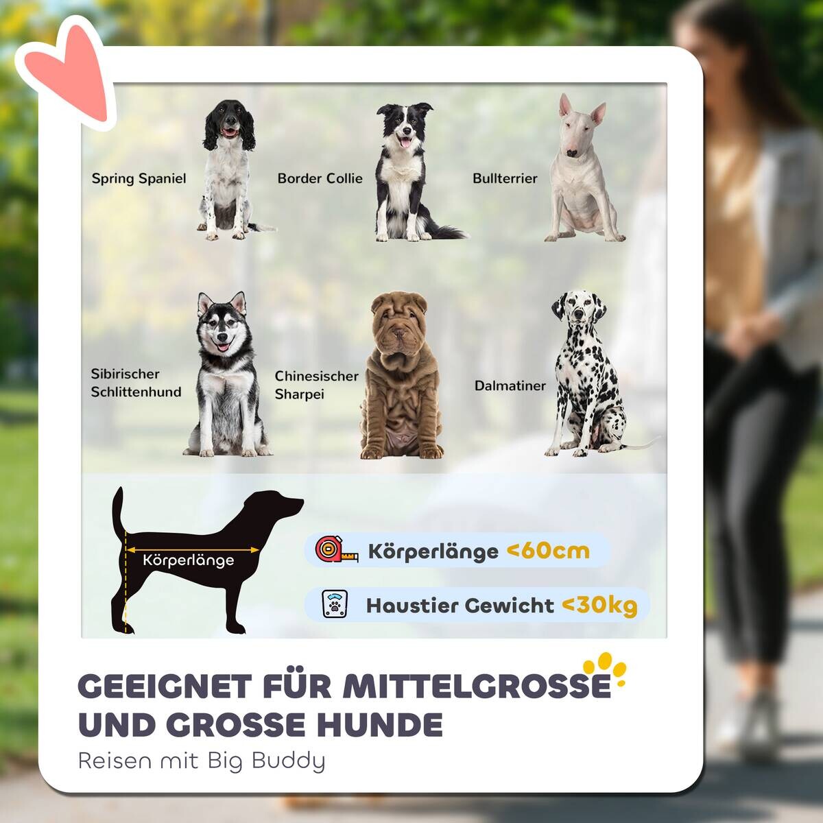 PawHut Hundebuggy rot Stahl B/H/L: ca. 70x97,5x111 cm