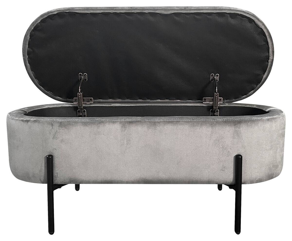 Truhe NOVA grau B/H/T: ca. 95x42x37,5 cm