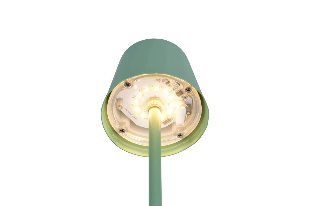 Reality LED Tischleuchte DIAZ Pistazie Metall H: ca. 21 cm 1 Brennstellen