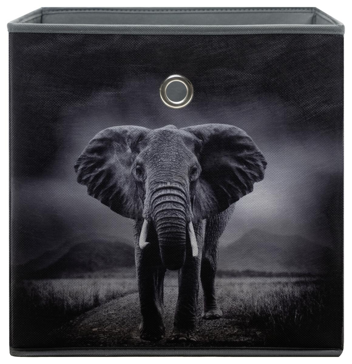 Motivbox Wildlife anthrazit B/H/T: ca. 32x32x32 cm