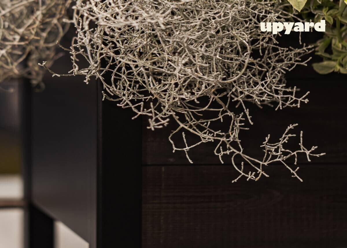 UPYARD Hochbeet MODERN schwarz Holz B/H/L: ca. 36x32x58 cm