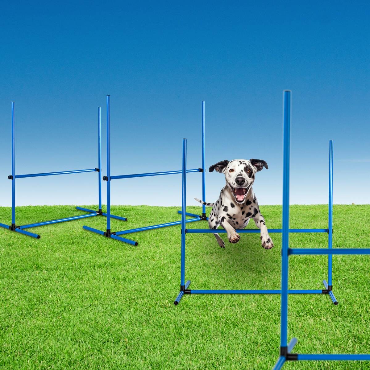 HI Agility Hürdenset blau Kunststoff B/H/L: ca. 65x95x95 cm