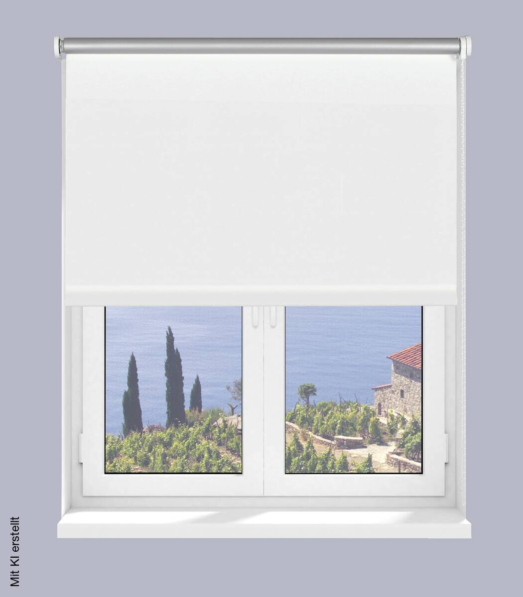 Boviva Thermo Seitenzugrollo Verdunklungsqualität weiß B/L: ca. 62x175 cm