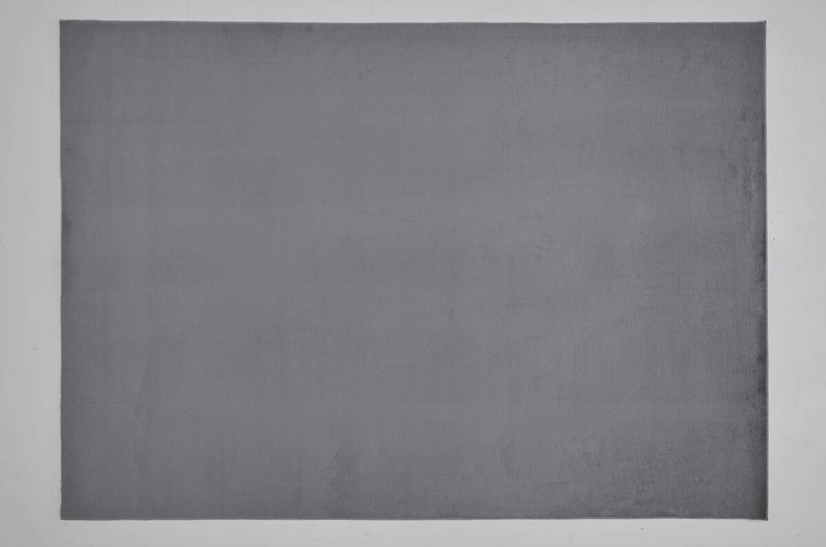 Teppich Pisa silber B/L: ca. 160x220 cm