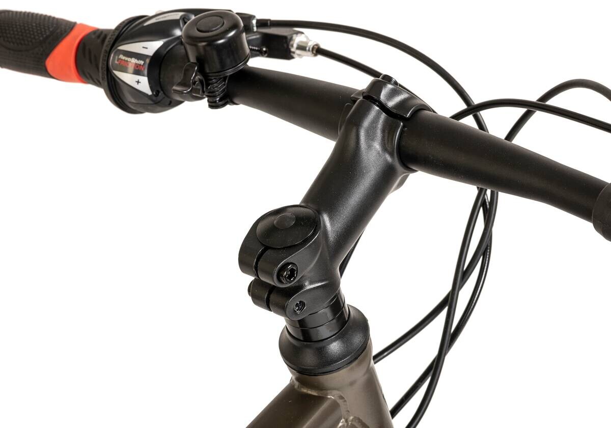 WYLD Mountain-Bike Sharp Sharp 29 Zoll Rahmenhöhe 51 cm 21 Gänge grau grau ca. 29 Zoll