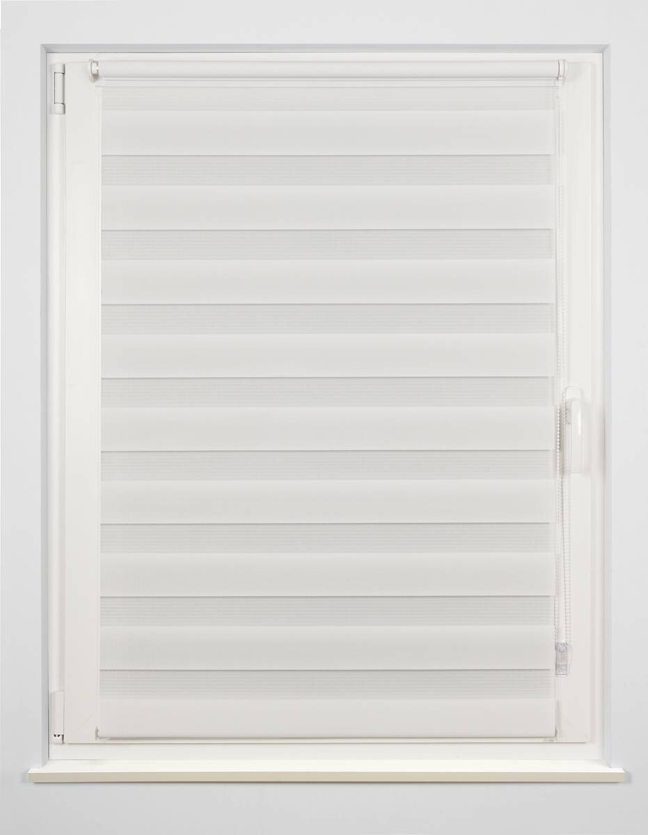 Doppelrollo Just weiß B/L: ca. 140x160 cm