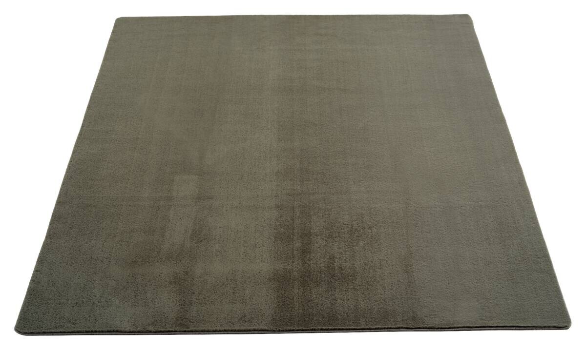 Teppich Joy grün B/L: ca. 80x150 cm