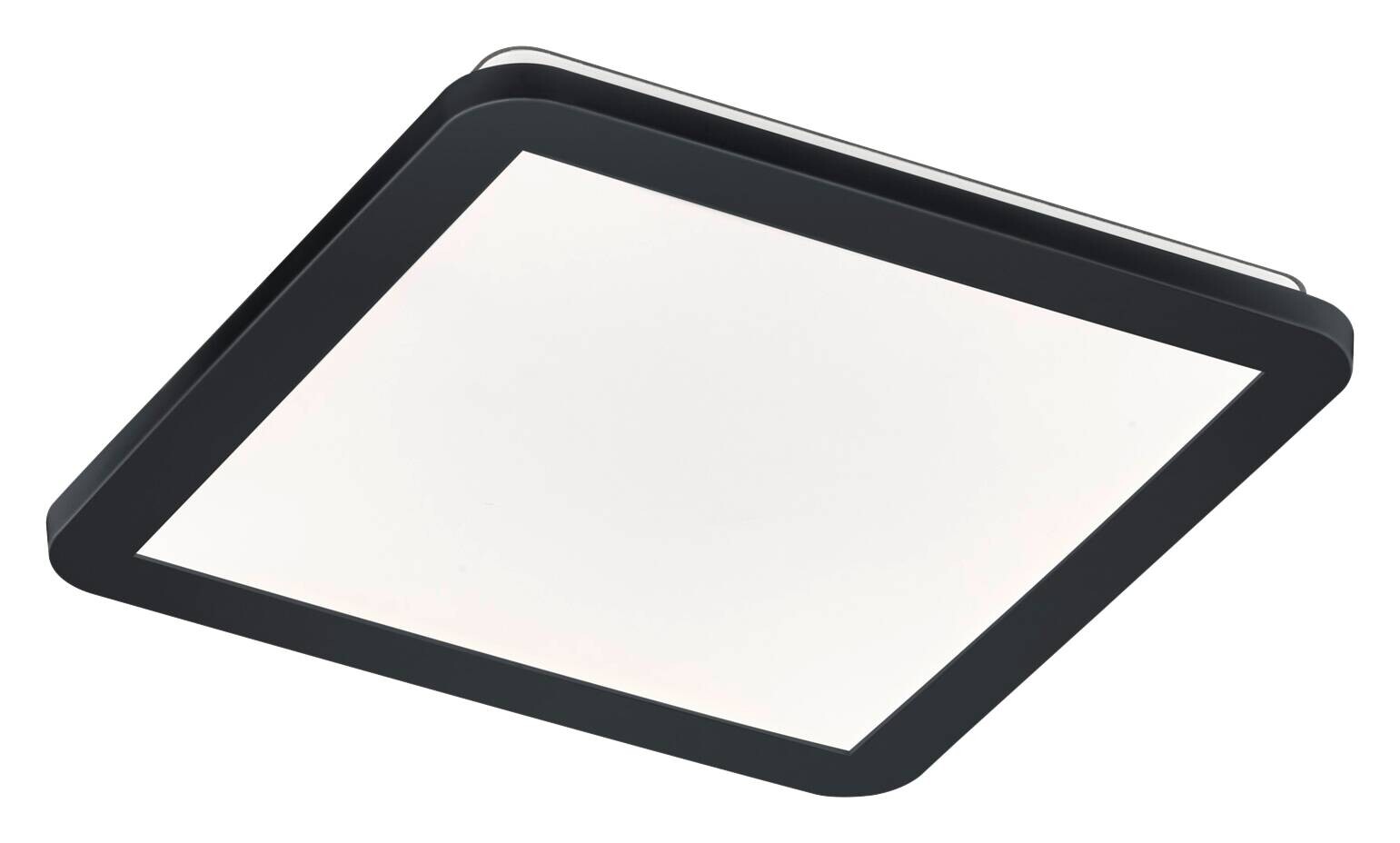 Reality Deckenleuchte Camillus schwarz Opal Kunststoff