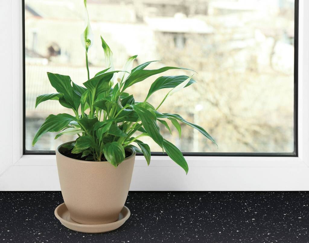 d-c-fix Klebefolie Steine Marmoroptik Steine schwarz B/L: ca. 45x200 cm