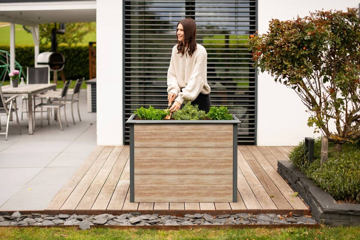 Westmann Hochbeet Primus-Multi M natur Metall B/H/L: ca. 100x77x50 cm