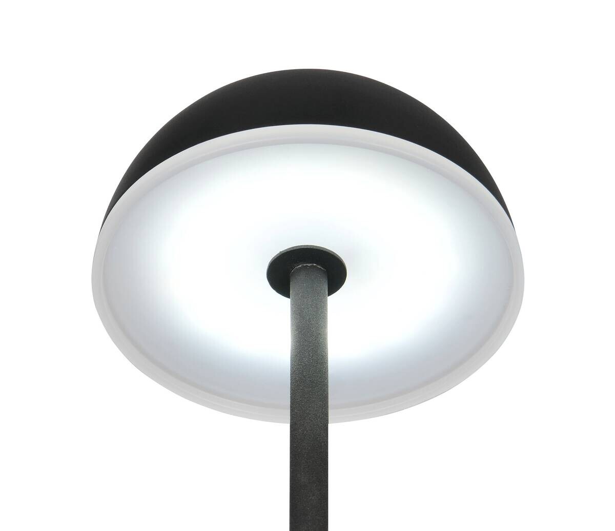 Reality LED-Tischleuchte Tembo schwarz Kunststoff B/L: ca. 11x28,3 cm